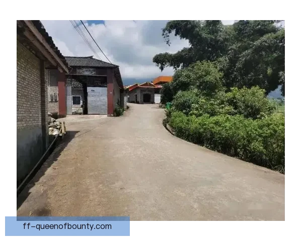 那不勒斯俱乐部携手周边社区共建和谐发展新环境